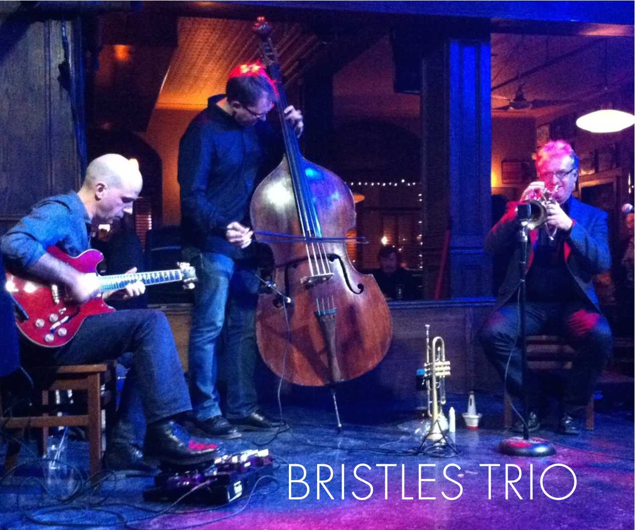 Bristles Trio