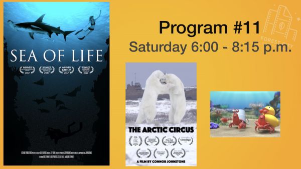 Forest City Film Festival 2017 - Saturday Early Evening- Program #11 