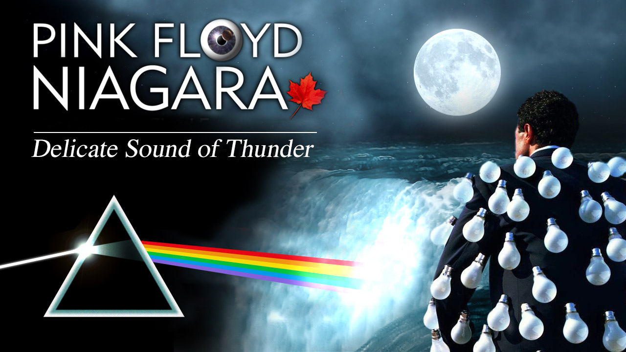Pink Floyd Niagara - THE DELICATE SOUND OF THUNDER