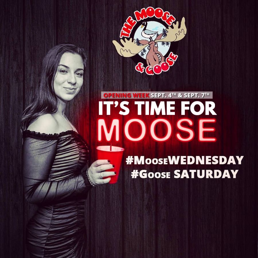 Moose Wednesday & Goose Saturday VIP Pass