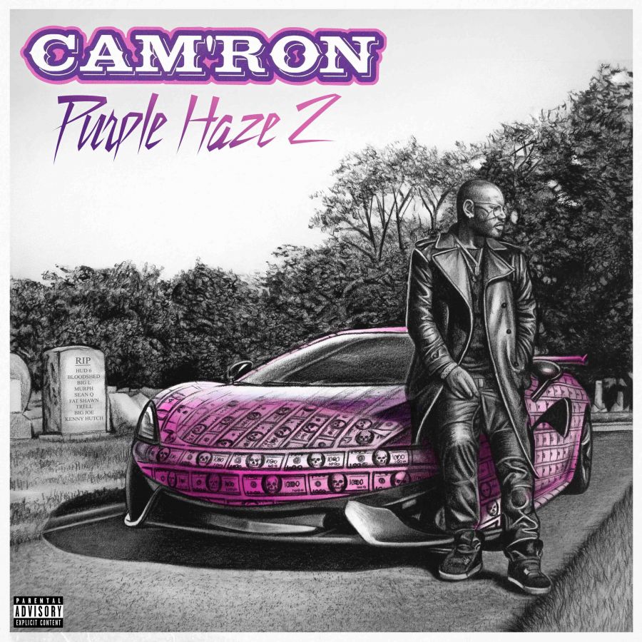 Cam'ron - Purple Haze 15 Year Anniversary Live In Ottawa