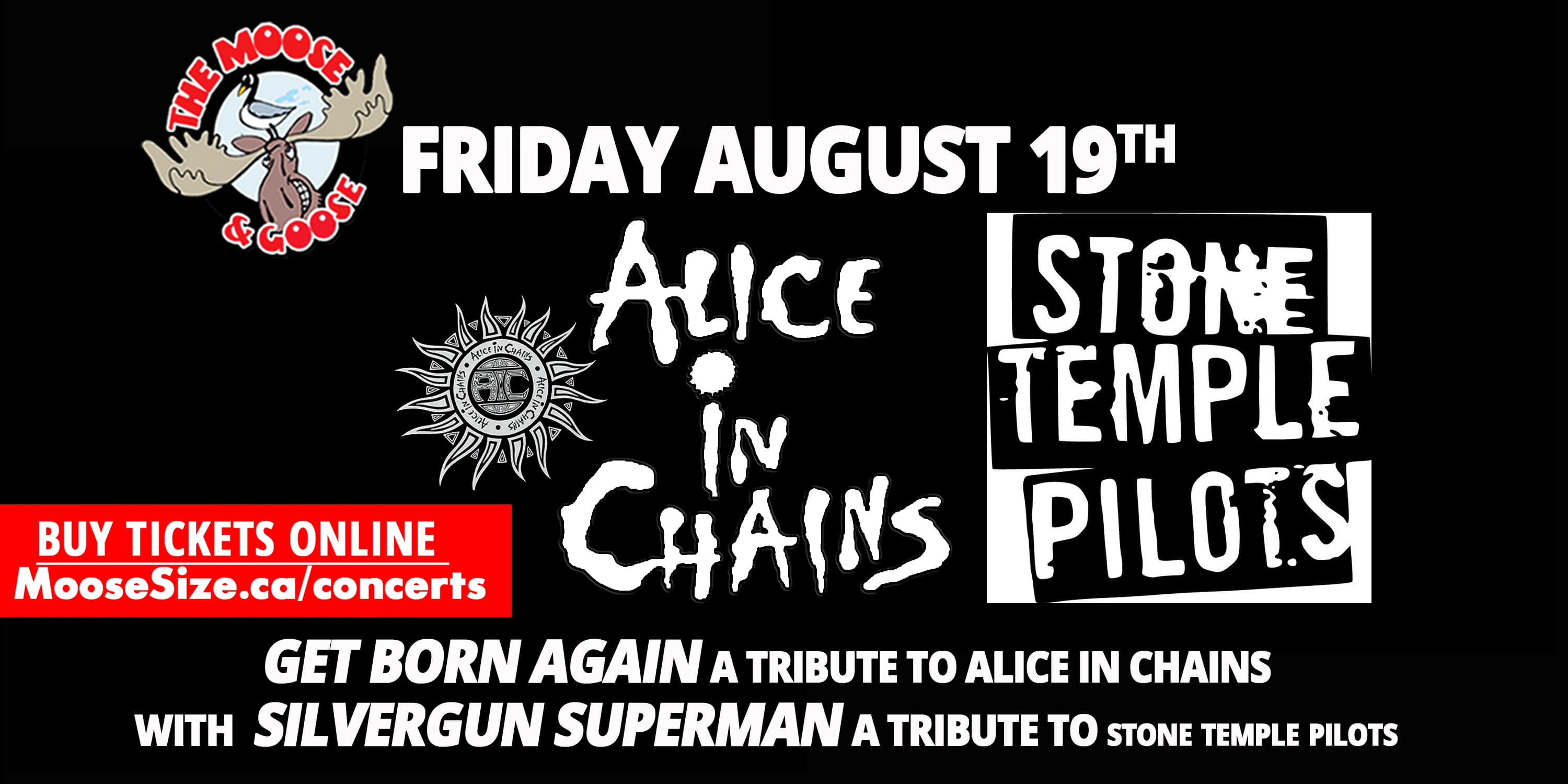 Alice In Chains & Stone Temple Pilots Tribute-  Get Born Again & STP 