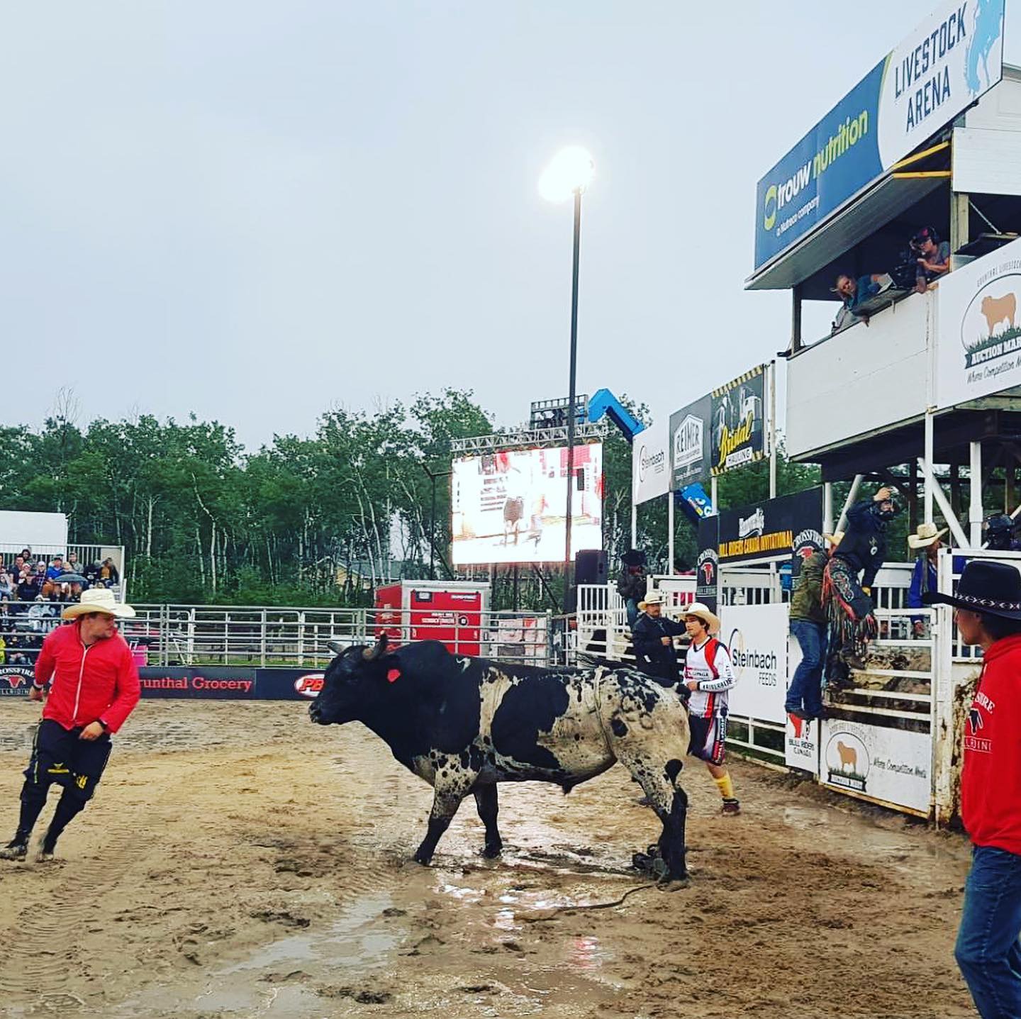 Hanover Ag Fair - Bull Rider's Canada Invitational