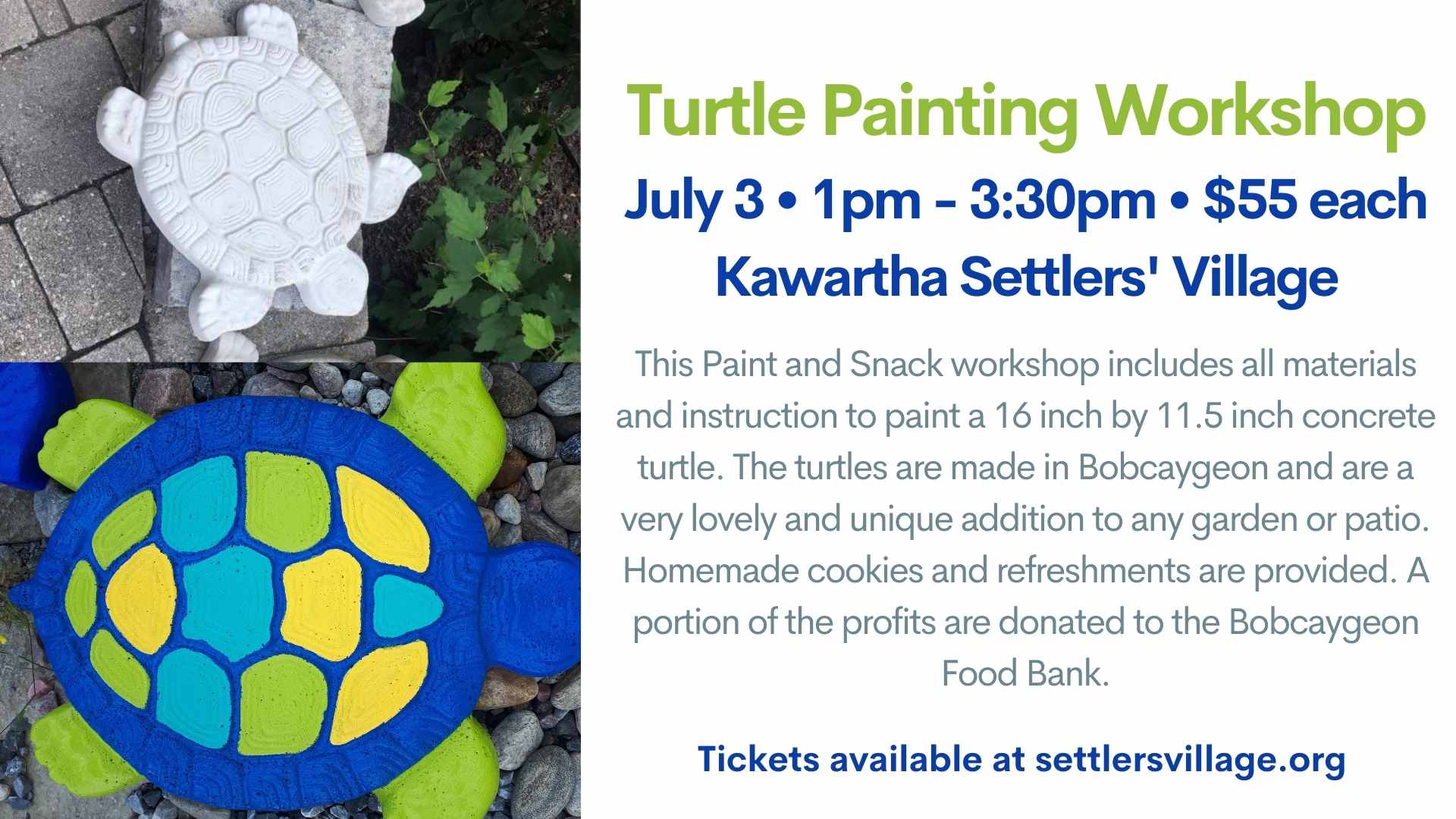 Turtle Painting Workshop