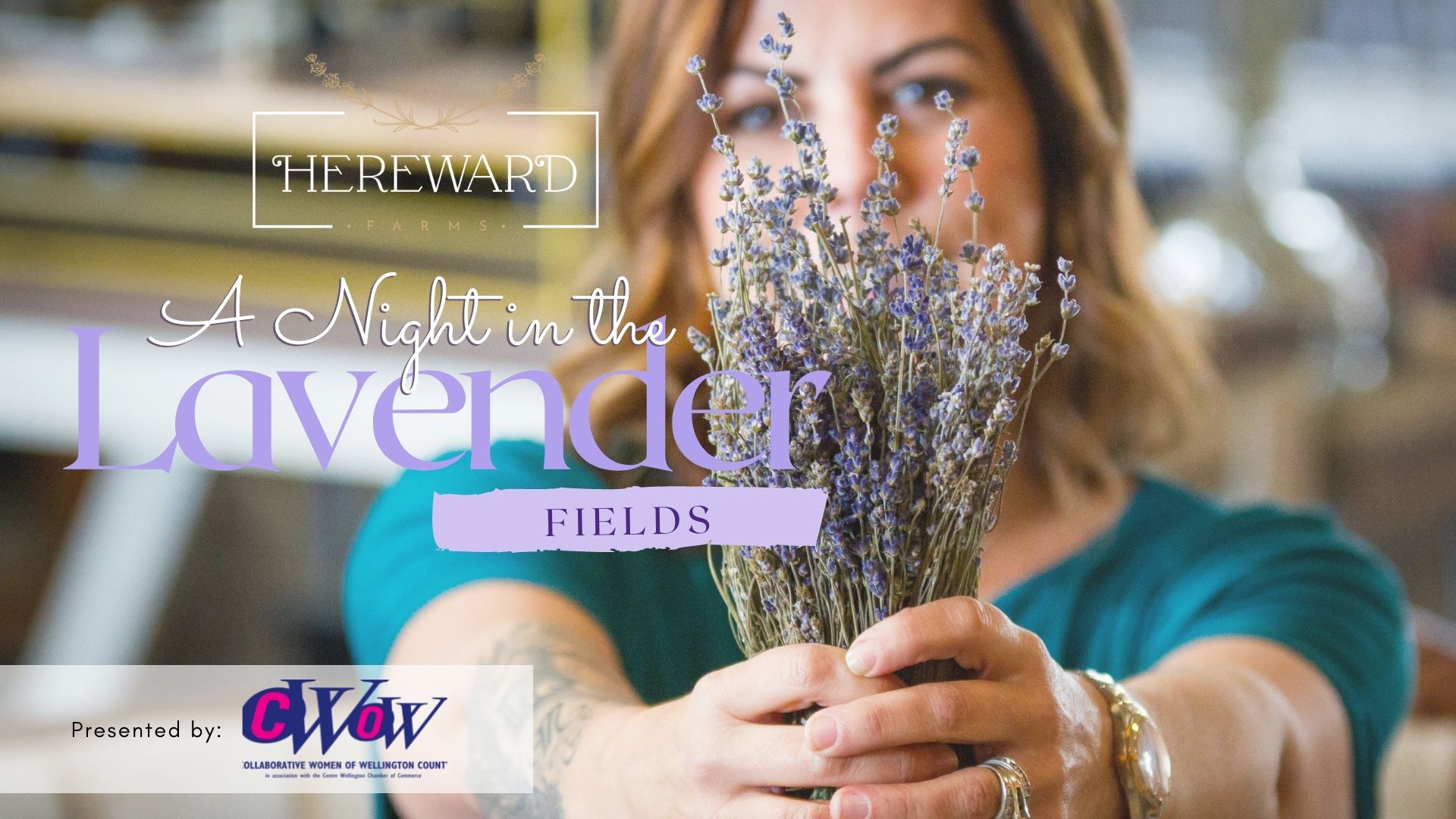CWOW: A Night in the Lavender Fields