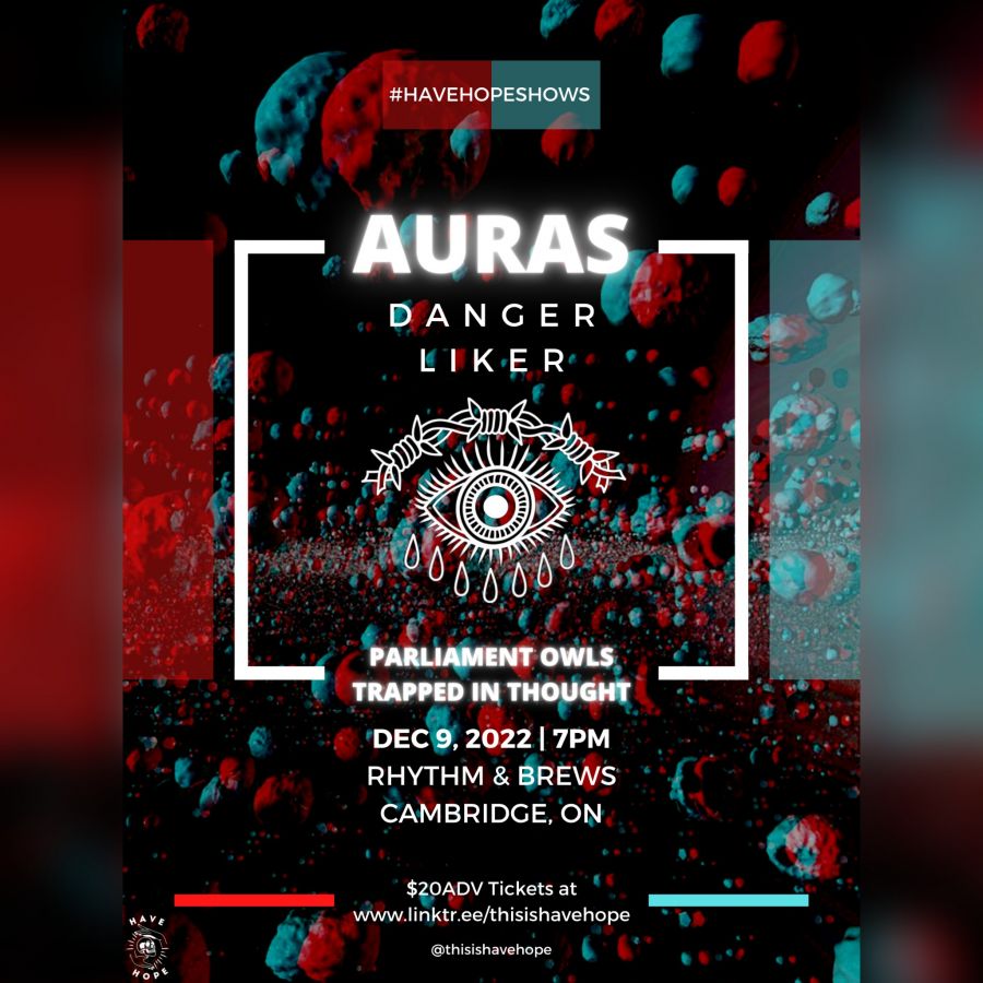Auras, Danger Liker, Parliament Owls, Trapped in Thought - Cambridge
