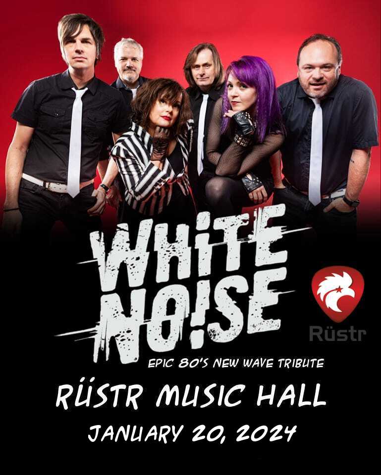 White Noise - Epic 80's tribute band!