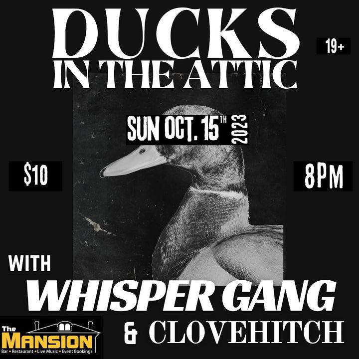 Ducks In the Attic: Live at The Mansion