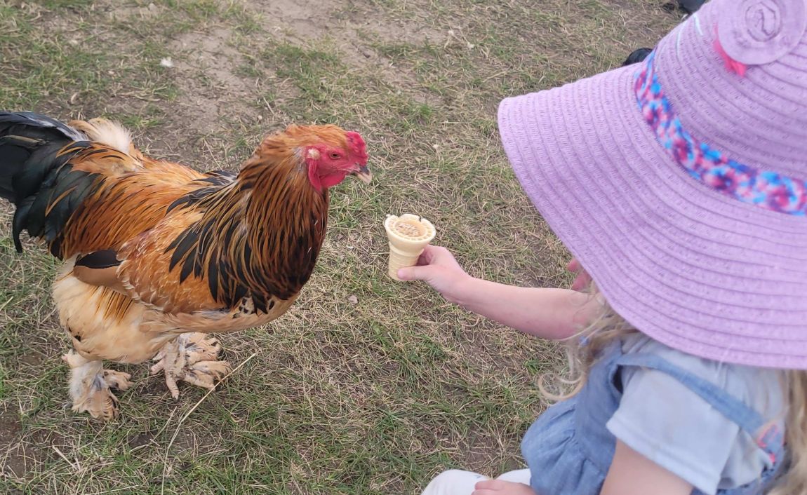 Hanover Ag Fair - Family Day at the Fair