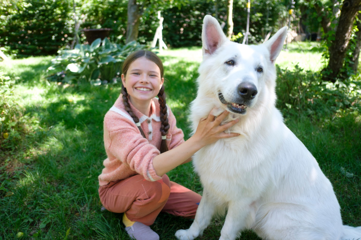 Lampo, the Travelling Dog / Short: Paper Love, Statues