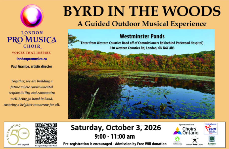 Byrd in the Woods